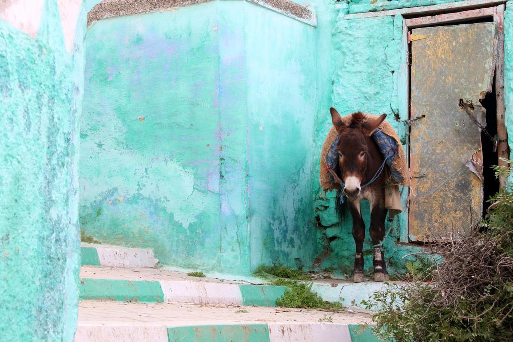 Dar Zerhoune Moulay Idriss Eksteriør billede